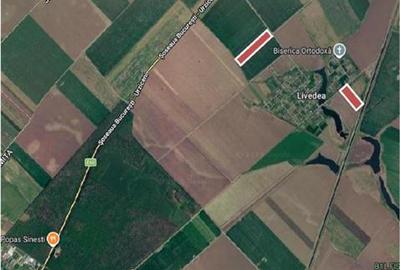 Teren agricol intravilan de 99800 mp, în Sinești - 1
