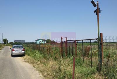 Teren Construcții intravilan de 582 mp, în Copăceni - 2
