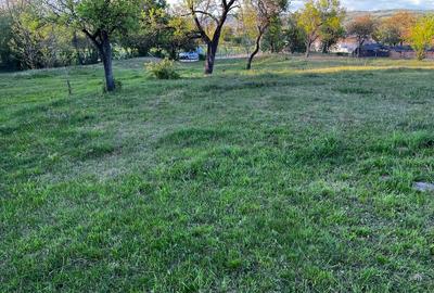 Teren de 5600 mp, în Pianu - 3