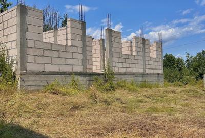 Casă cu 2 camere în Moșoaia - 2