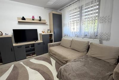 Apartament cu 2 camere semidecomandat, mobilat în Cetate - 3