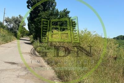 Teren Construcții intravilan de 5000 mp, în Ișalnița - 2