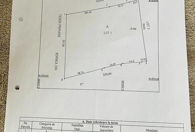 Teren de 30000 mp, în Cerneți