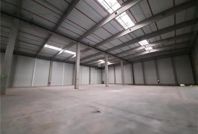 Spațiu industrial, de 6,200 mp, în Vest - 8