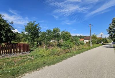 Teren Construcții intravilan de 3430 mp, în Margina