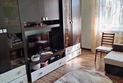 Garsonieră în Gorjului