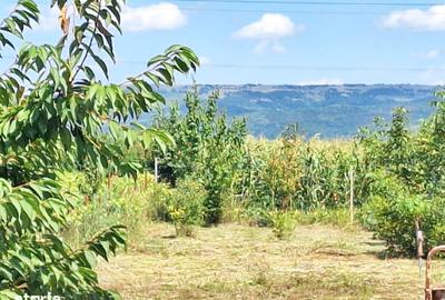Casă cu 3 camere cu Teren 400 Mp în Letea Veche