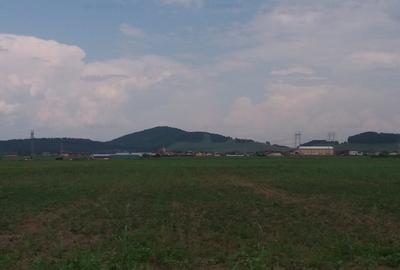Teren Construcții intravilan de 974 mp, în Sânpetru - 1