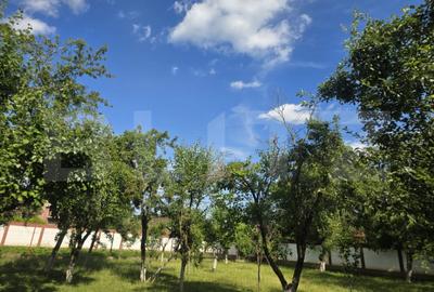 Teren de 1700 mp, în Central - 3