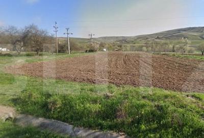 Teren de 4456 mp, în Băișoara - 2