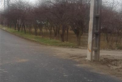 Teren de 800 mp, în Ulmi