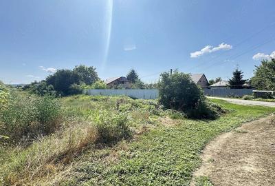 Teren de 1100 mp, în Letea