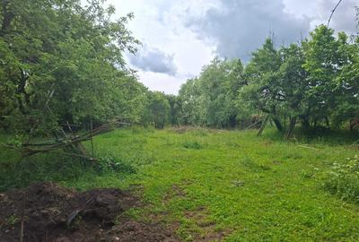 Teren de 4236 mp, în Cotenești - 2