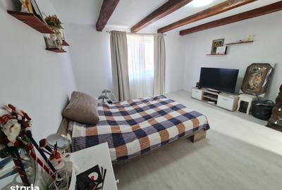Casă cu 2 camere decomandat cu Teren 1230 Mp în Bocsig - 1