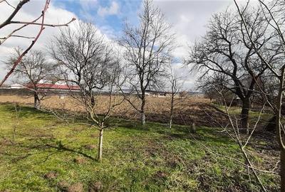 Teren Construcții intravilan de 11200 mp, în Nazna - 4
