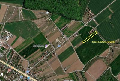 Teren de 5000 mp, în Ciolpani - 16