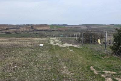 Teren de 6107 mp, în Central - 3