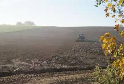 Teren agricol extravilan de 46000 mp, în Pielești - 1