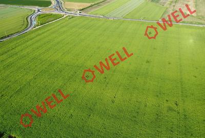 Teren agricol extravilan de 45000 mp, în Chichiș - 6