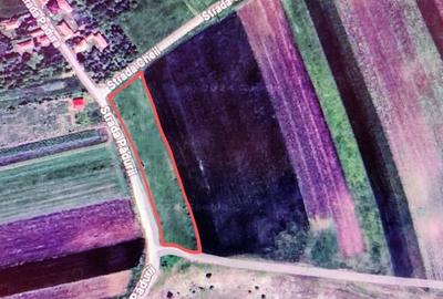 Teren de 5000 mp, în Tureni - 9