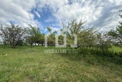 Teren de 2100 mp, în Căianu