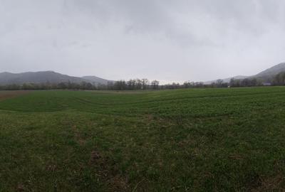 Teren de 4300 mp, în Dobrocina