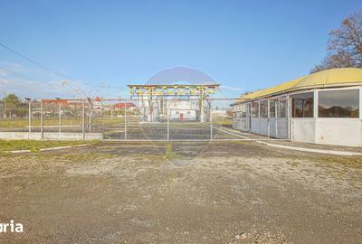 Spațiu comercial, de 1,250 mp, în Prejmer - 12