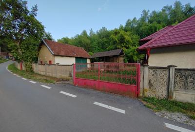 Casă individuală cu 4 camere cu Teren 8700 Mp în Băița - 3