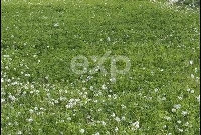 Teren agricol extravilan de 2109 mp, în Budeasa Mare - 4