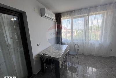 Apartament cu 3 camere, mobilat în George Enescu - 11