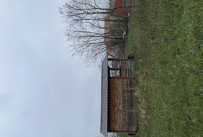 Teren de 5000 mp, în Lazuri - 5