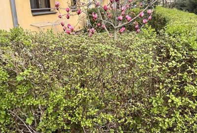 Apartament cu 2 camere nedecomandat în Micro 15
