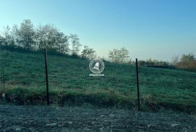 Teren de 407 mp, în Valea Lupului