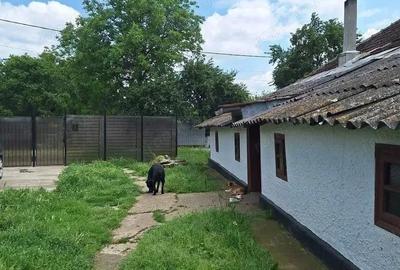 Casă cu 3 camere cu Canalizare în Aprozi - 19