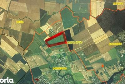 Teren de 450000 mp, în Corbeanca