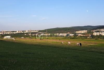 Teren în Florești