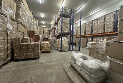 Spațiu industrial, de 790 mp, în Nufărul - 2