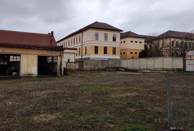Teren de 3929 mp, în Cetate - 4
