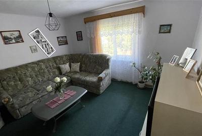 Casă individuală cu 3 camere cu Teren 2500 Mp în Ulieș - 14