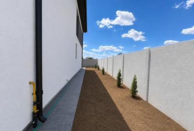 Duplex cu 4 camere cu Canalizare în Bragadiru - 3