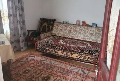 Casă cu Teren 2536 Mp în Peșteana-Jiu - 9
