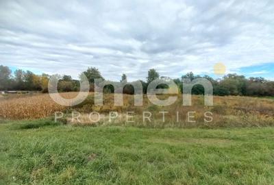 Teren agricol extravilan de 700 mp, în Cătălina - 2