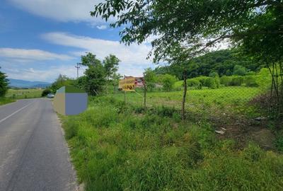 Teren Construcții intravilan de 5806 mp, în Dăești - 3