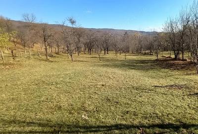 Teren de 3239 mp, în Șotrile
