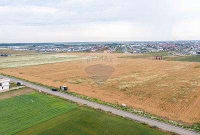 Teren Construcții intravilan de 5000 mp, în Dobroești - 6
