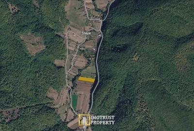 Teren de 4961 mp, în Vărădia de Mureș - 10
