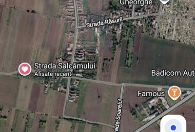 Teren de 6000 mp, în Sud