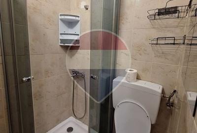 Garsonieră decomandată, mobilată în Gemenii - 7