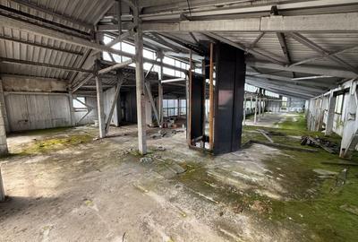 Spațiu industrial, de 800 mp, în Piața Centrală - 4