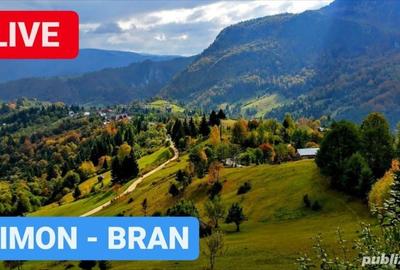 Teren de 6045 mp, în Șimon - 1